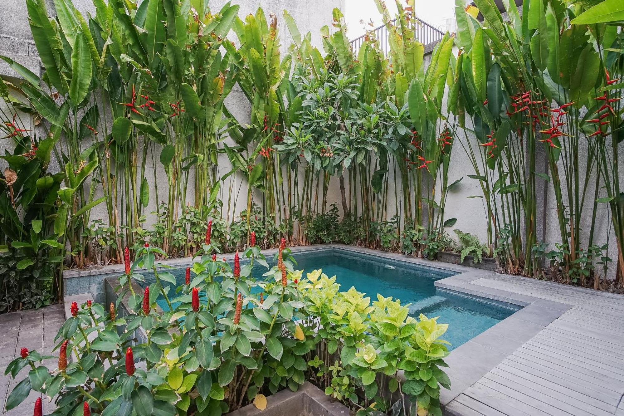 Dee Mansion Hotel Denpasar  Luaran gambar
